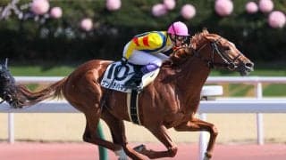 【中京8R】武豊 ゲンパチハマジが人気に応える