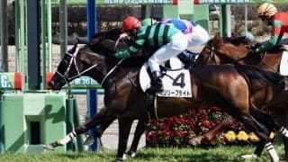 【中山7R】西田厩舎初勝利！リリーブライトが差し切る