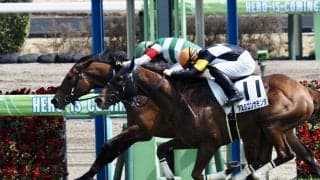 【中山6R】ドレフォン産駒 サーマルウインドが2勝目