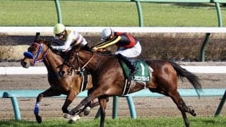 WIN5は6821票的中と堅調