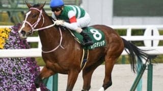 国内はGI高松宮記念、海外ではドバイWCデー/今週の競馬界の見どころ