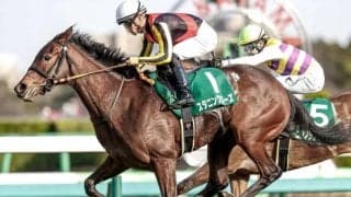 【フラワーC】売上は56億481万200円で昨年からおよそ22.3億円の増加