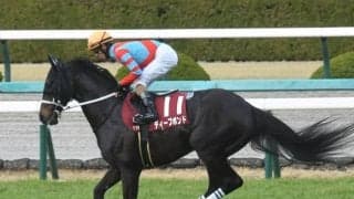 【阪神大賞典】売上は72億1866万5200円で昨年からおよそ11億円の増加