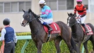 【スプリングS】売上は63億8536万5300円で昨年からおよそ9.2億円の増加