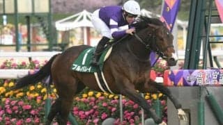 【ファルコンS】売上は39億8098万3000円で昨年からおよそ12.8億円の増加