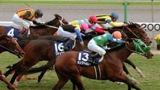 ウマ娘では一流を目指すキングヘイロー。実際も、GⅠ勝利まで21戦挑み続けた超良血馬