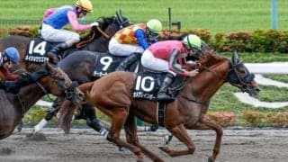 【マーチS見どころ】オメガレインボーの重賞初制覇なるか