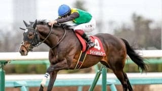 【日経賞見どころ】菊花賞馬タイトルホルダーが始動