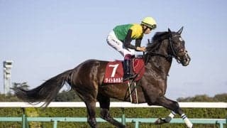 【日経賞想定騎手】タイトルホルダーは横山和生騎手、アサマノイタズラは横山武史騎手