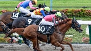 【マーチSハンデ確定】オメガレインボーは56.5kg、ブルベアイリーデは57.0kg