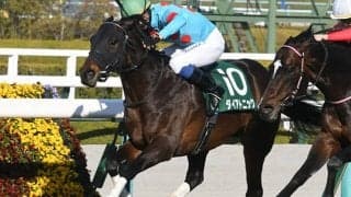 【AI予想・高松宮記念】混迷のスプリント界で古豪復活!? AI本命候補は「あの実力馬」