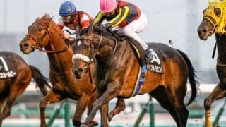 【先週のJRA抹消馬】三冠牝馬の全妹ドナアトラエンテ、ダービー馬の全姉ミンネザングなど