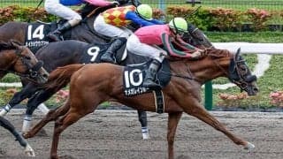 【マーチS想定騎手】オメガレインボーは横山和生騎手、ブルベアイリーデは戸崎圭太騎手