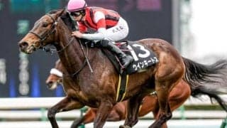 【日経賞展望】天皇賞・春のステップレース、好走の条件とは