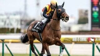 【毎日杯想定騎手】ドゥラドーレスは戸崎圭太騎手、コマンドラインは岩田望来騎手