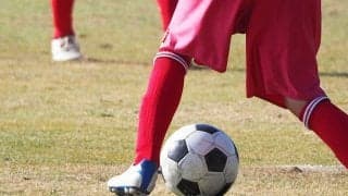 量を食べられない子どもを解決　悪者にされがちな「脂質」を味方につける食べ方とは