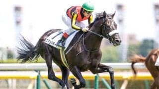 【毎日杯展望】後の活躍馬多数の出世レース、あの馬の巻き返しを期待したい