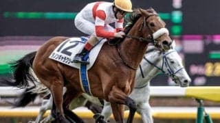 【次走】高額馬ダノンギャラクシーは青葉賞へ