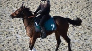 ジプシーハイウェイの2020など、先週の入厩情報/栗東トレセンニュース