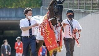 【ドバイシーマクラシック枠順】シャフリヤール8番、オーソリティ10番ゲート