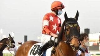 【ドバイゴールデンシャヒーン枠順】レッドルゼル2番、チェーンオブラブ1番ゲート