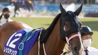 【高松宮記念予想オッズ】レシステンシアが予想1番人気