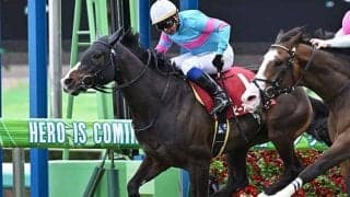 「ベルばら」ゆかりの牧場に吉報！  皐月賞でも人気を上回る好走に期待