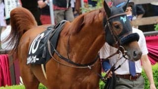 【マーチS予想オッズ】オメガレインボーが予想1番人気