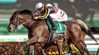 初年度産駒から14世代連続重賞勝ちの快挙！ “バラ一族”のキンカメ産駒がV