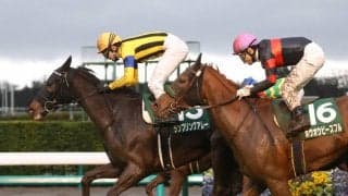 ランブリングアレーが競走馬登録抹消