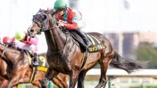 【高松宮記念展望】春のスプリント王決定戦、あの馬に期待したい