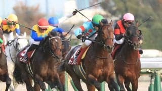 【ドバイシーマクラシック】出馬表が確定