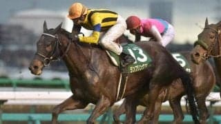 【JRA】ランブリングアレーが引退、繁殖馬に