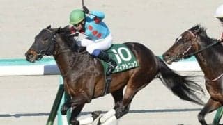 高松宮記念を血統面から分析。ＧⅠ初勝利を狙う７歳馬と、レース相性がいい牝馬が魅力的