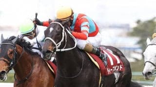 【阪神大賞典】和田竜「頼もしい馬になった」ディープボンドが快勝