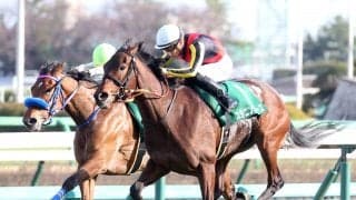 【フラワーC】スタニングローズが重賞初制覇