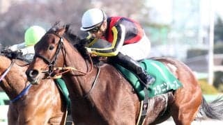 【フラワーC】川田「すぐにリカバリー出来ました」スタニングローズが重賞初制覇