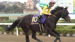 【マーチS展望】混戦模様のハンデ重賞、馬券妙味のあるベテランに注目