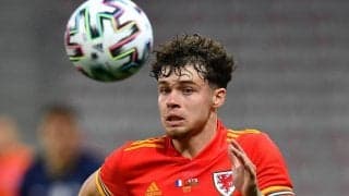 ネコ・ウィリアムズ、ファンと共に1958年以来のW杯出場誓う「僕らにとっての全て」