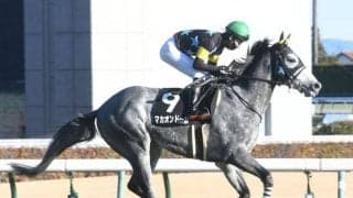 【次走】マカオンドールは天皇賞春へ