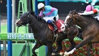 【次走】スプリングS覇者ビーアストニッシドは和田竜二騎手との初コンビで皐月賞へ