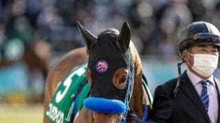 【次走】ニシノラブウインクはオークスへ直行予定 前走フラワーCで2着