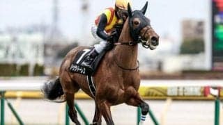【毎日杯出走馬・騎手確定】ドゥラドーレス＆戸崎圭太騎手、コマンドライン＆岩田望来騎手など10頭