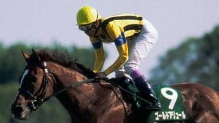 名繁殖ニキーヤが死亡 2002年ダート王ゴールドアリュールの母