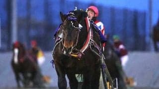 売り上げ総額517億超の史上最高額も依然として残る人材確保という課題