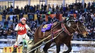 10年で売り上げ5倍増！ 驚異的な伸びで廃止寸前から立ち直ったばんえい競馬