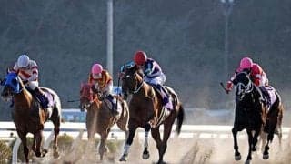 「高知の馬場が乾いてるぞ！」 快挙の裏に高知ではめったにない“タフすぎる馬場”の存在