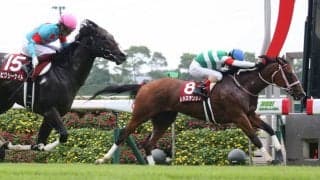 【高松宮記念】出走馬の調教後の馬体重