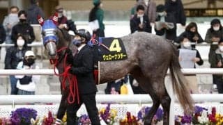 【次走】若葉S2着のヴェローナシチーは皐月賞を回避して京都新聞杯へ