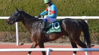 高松宮記念は好配当なるか。パワー要する馬場で力を発揮できる舞台巧者２頭に要注意